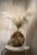 hanging_on_reduced